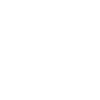 Pudel Poodle