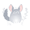 Chinchilla Dictons drôles