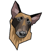 Geometric Malinois