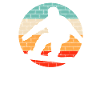 Snowboard Rétro