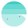 Freedom Surf