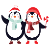 sweet penguins Christmas