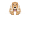 Cocker anglais souriant Spaniel