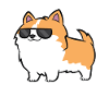 Cool Corgi Dog With Sunglasses Cool Corgi