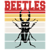 BEETLES