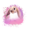rabbit, rabbit, pink, graffiti, painting,