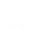 Wing Chun Kung Fu