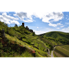 Moselle, castle, vineyard, panorama