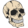 head of death skull halloween