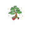Bonsai