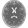 skull mri