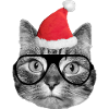 Mignon chat de Noël