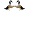 GOOSE Bumps Funny Pun