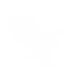 Eagle approaching