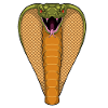 Cobra Snake