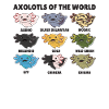 Axolotls from the world sweet animals Axolotl species