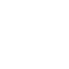 L authentique super frère génial