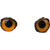 Owl eyes