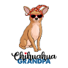 Chihuahua Grandpa Chihuahua Opa