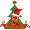 Funny Christmas Cat
