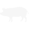 Pig / 1c