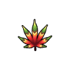 Heartbeat Weed Canabis