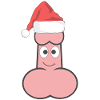 Funny Santa Penis, Christmas Santa Claus Gift