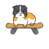 Skateboard Cochon d’Inde Patineur mignon