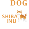 My Shiba Inu not a Fox