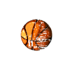 Basketball 2010 Birthday