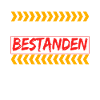 Führerscheinprüfung Bestanden Führerschein