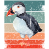 Puffin Parrot Lunde Bird Cadeau