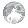 Rodeo Rider Gift