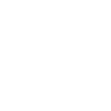 Mandala Vector Circle Shape