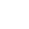 Spider Tarantula Tarantula
