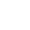 Mirror icon