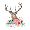 Deer Flower