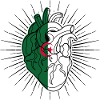 Heart flag of Algeria
