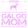 Galgo Espanol Chien Greyhound Mama Rose