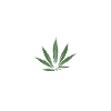 Herzschlag Weed Canabis
