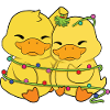 Ducks Christmas Lights