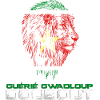Guadeloupe drapeau guerrier Gwada