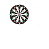 9 Darter Darts