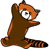 Rød panda