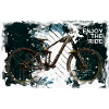 Enjoy the ride