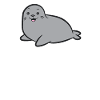 Funny Seal Lover Seals Are My Spirit Animal
