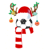 FUNNY CHRISTMAS FOOTBALL