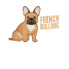 J’aime vraiment Français Bulldog ok?