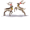 Christmas Reindeer Family T-Shirt
