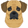 Puggle Elsker Jeg Hund Elsker Jeg Puggle